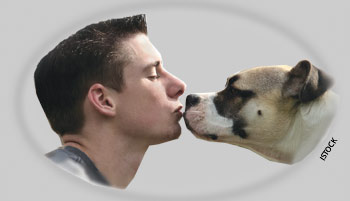 boy and dog kissing