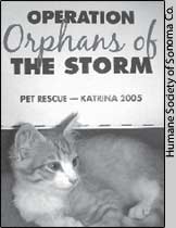 'Operation Orphans of the Storm' book