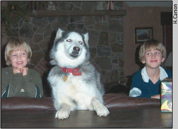 Maya and the author's two boys