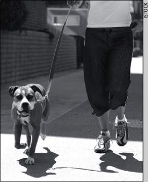 Walking a dog with manners is way more pleasant for those on both ends of the leash, and all whom they encounter.