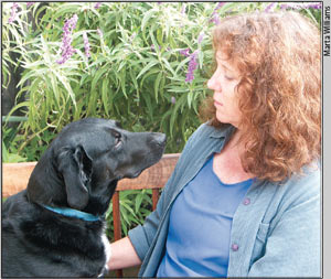 Animal communicator
