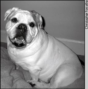 Mrs. Butterworth looking forward to a long life