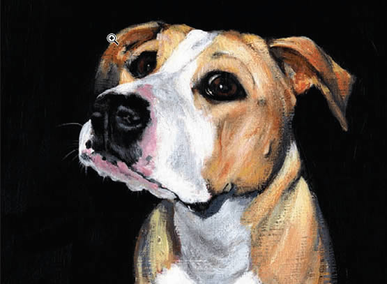 Daisey by John Sumner
