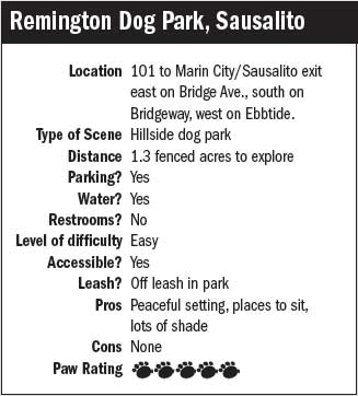 Remington dog scene