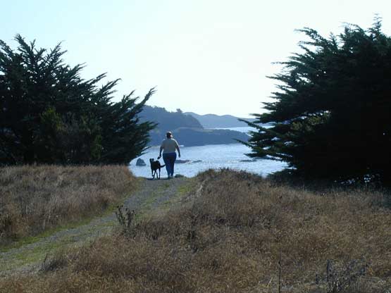 Walking the Sea Ranch Path
