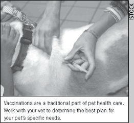 demonstration on how to give a vaccine