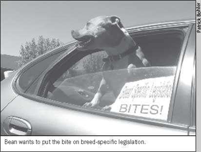 Bean wants to put the bite on breed-specific legislation.
