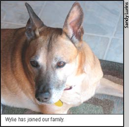 Wylie has joined our family.