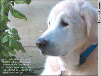 As our pets age, or become ill, it
helps to find support from others
who understand. The North Bay is
fortunate to have its own pet loss
support group for people who are
facing the loss of a pet.