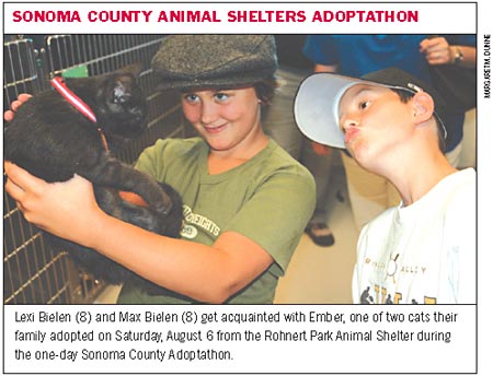 Sonoma County Animal Shelters Adoptathon