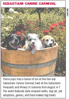 Sebastiani Canine Carnival