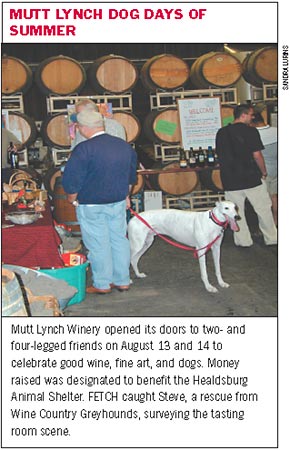 Mutt Lynch Dog Days of Summer